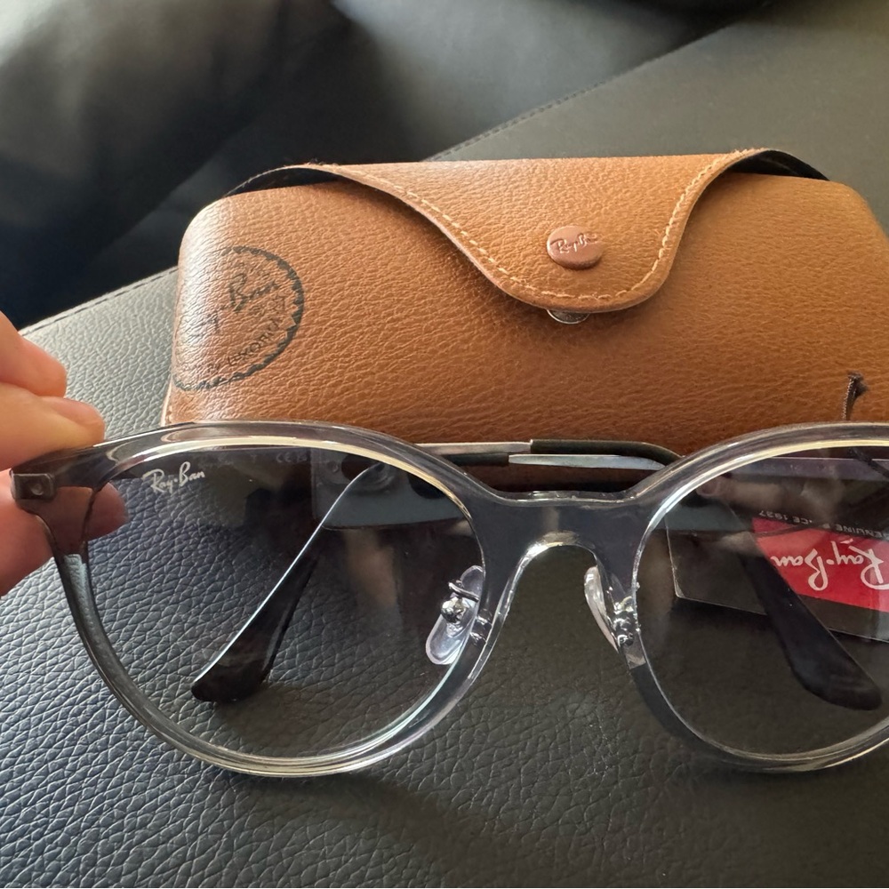Ray-Ban Gray Sunglasses